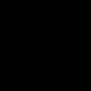 Meet your Posher, Lea